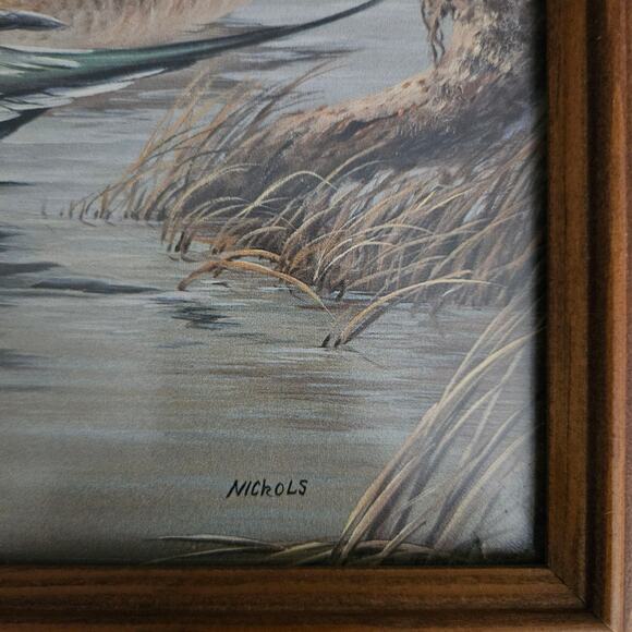 Pair Framed Duck Prints by Nichols – Wood Ducks & Pintails Waterfowl Art 10x12 - Picture 6 of 7